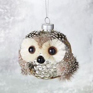 West Elm Owl Glass Ball Ornament (Set of 8)